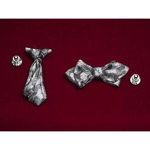 シルク100%のミニネクタイ　「ｐ-Ｔｉｅ」2種セット（シルバー系）