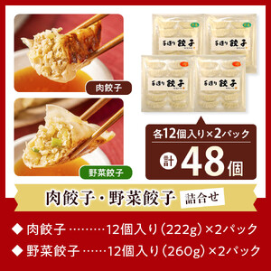 長期熟成にんにくの芳醇な旨味が決め手 肉餃子・野菜餃子詰合せ　48個入り （肉餃子・野菜餃子　各12個入×2パック）