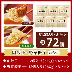 長期熟成にんにくの芳醇な旨味が決め手 肉餃子・野菜餃子詰合せ　72個入り （肉餃子・野菜餃子　各12個入×3パック）