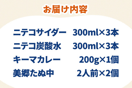 ニテコサイダー3本・ニテコ炭酸水3本とたぬ中・キーマカレーのセット 炭酸飲料 カレー キーマカレー レトルト 中華麺