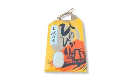 【令和7年度産】 熊本県（七城）産のお米と熊本県産の野菜ときのこ お米（2kg）・野菜＆きのこ（7～8品） 精米 単一原料米 ひのひかり   ジャガイモ ニンジン シイタケ 【2025年11月上旬発送開始】
