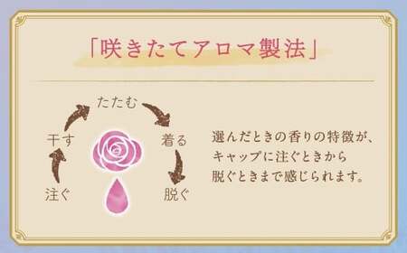 ソフラン アロマリッチ ダイアナ つめかえ 380ml×20個 ライオン 洗剤 洗濯用洗剤 洗濯 日用品 日用消耗品 詰め替えセット つめかえ 詰替 神栖市