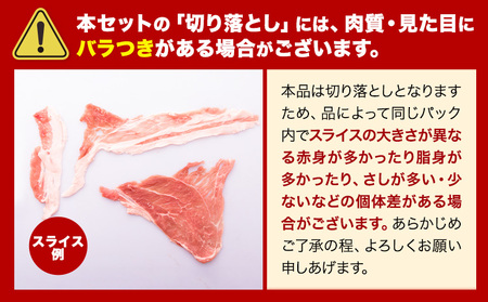 豚肉 ひごのポーク バラエティセット 4.8kg《7-14日以内に出荷予定(土日祝除く)》 豚肉