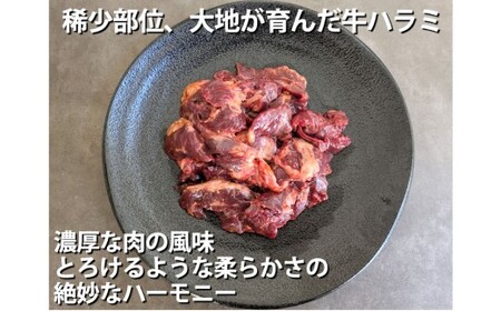 国産牛ハラミ 計700g（350g×2パック） 牛肉 プルコギ味 お肉 肉 焼き肉 焼肉 牛ハラミ はらみ ハラミ 冷凍 国産