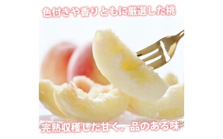 桃 はなよめ 秀品 約900g 6-10玉入り お取り寄せ クール便でお届け 温室桃 熊本植木産 千代姫 日川白凰 白凰 もも ピーチ フルーツ 冷蔵 【2026年5月下旬～6月下旬迄順次発送予定】
