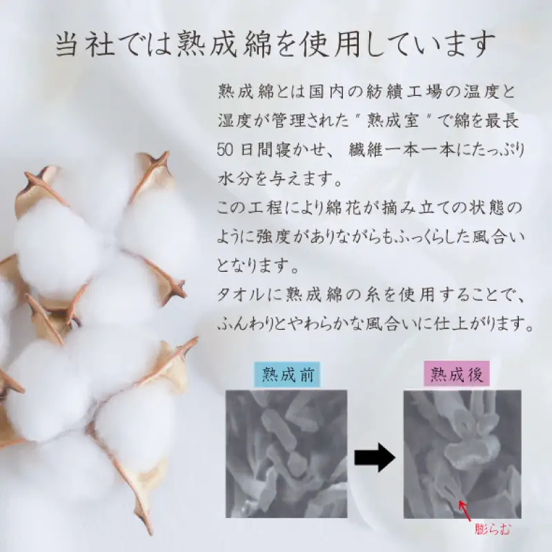 泉州タオル「モアフラン」バスタオル 3枚 グレージュ