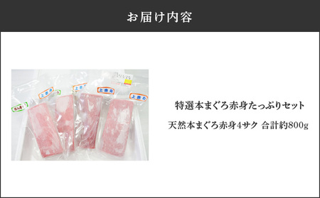 特選 本まぐろ 赤身 たっぷり セット M006-012 冷凍 マグロ