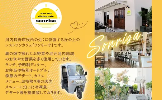 まじめな人参ドレッシング 2本セット サラダ 蒸し野菜 にんじん 玉ねぎ ソンリーサ オリジナル こだわりの逸品 地域特産品 ギフト 自分用 人気 おすすめ
