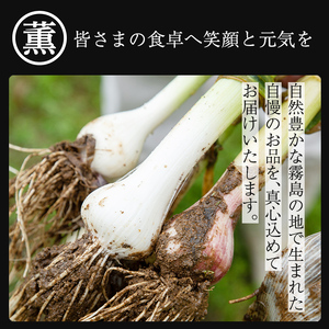 K-631 薫の塩麴にんにく(500g×2本)【薩摩の薫農園】霧島市 ニンニク 塩麴 調味料 万能調味料 酵素 肉 野菜 パスタ