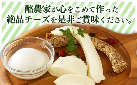 ハッピーさんのチーズ4種セット各1個入り  生乳 食べ比べ セット 詰め合わせ アソート 
