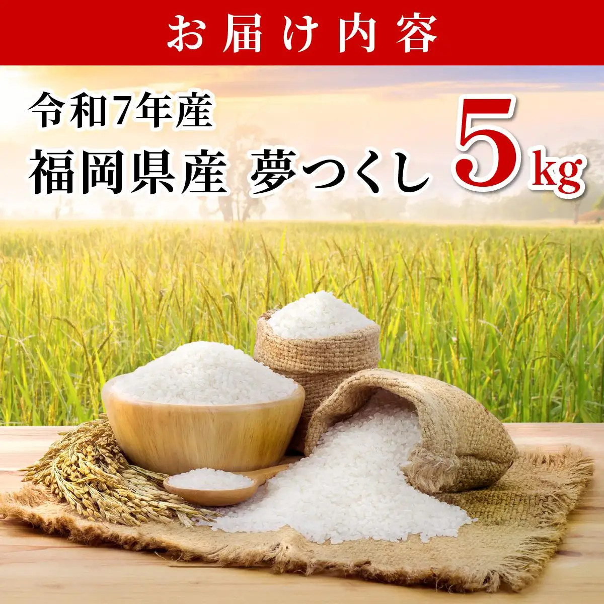 【令和7年産】福岡県産夢つくし5kg
