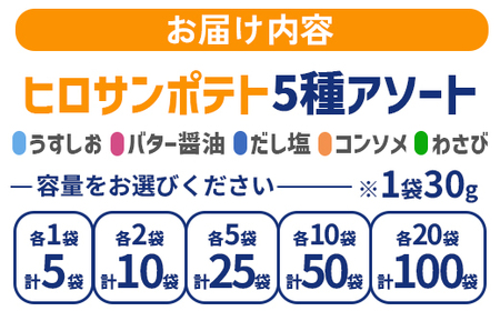 ヒロサンポテト ポテトチップス 5種アソート 5袋