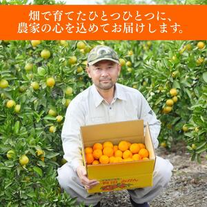  有田 みかん 秀品 サイズ混合 5kg / 有田みかん 温州みかん 甘い 秀品 和歌山 柑橘 5kg ※2026年10月上旬～2027年2月上旬に順次発送【krt004-p-5】