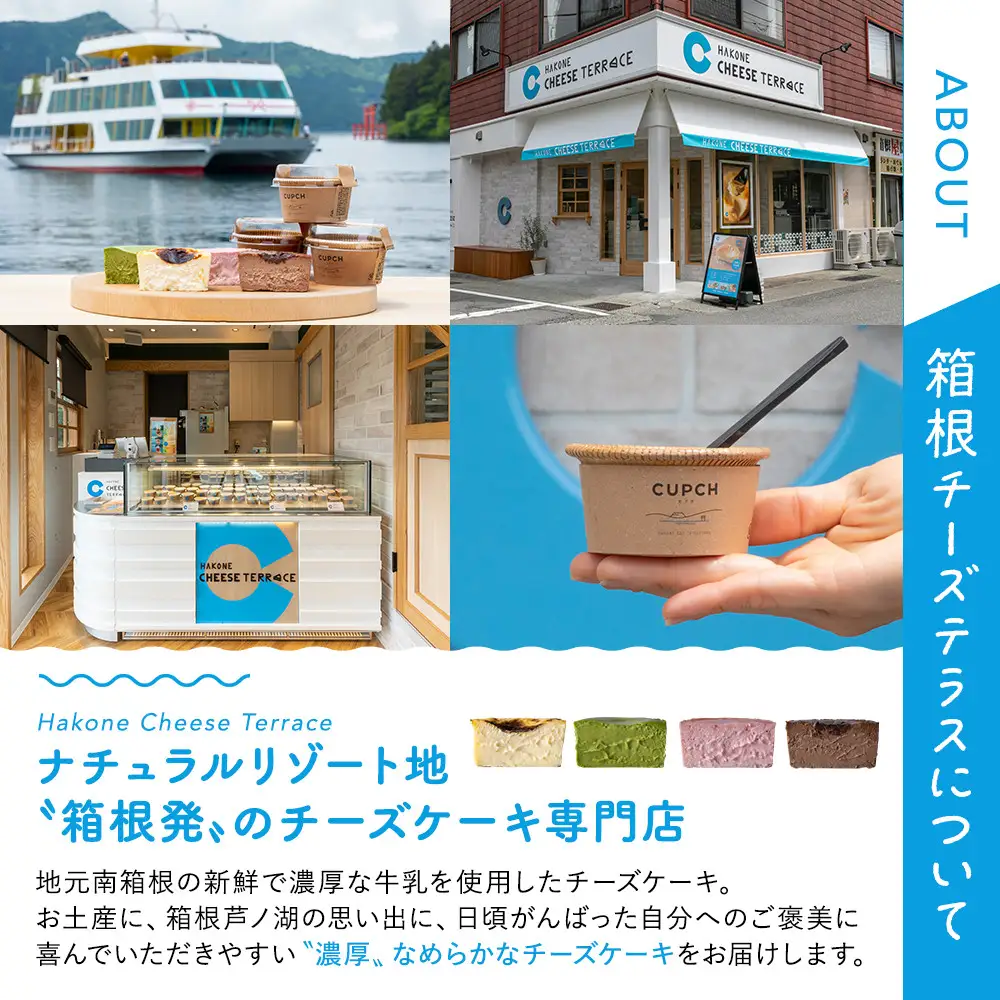 箱根発！なめらか濃厚バスクチーズケーキ 箱根チーズテラス・カプチ 【定番6個セット】