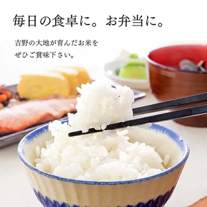 無洗米大和銘米ひのひかり5kg《大西米穀店》