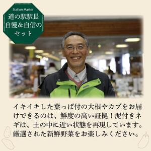 【３か月定期便】東京唯一の道の駅・八王子滝山から、新鮮野菜＆フルーツのセットをお届け