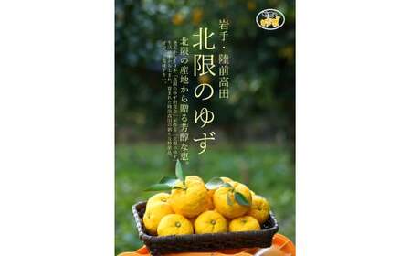 【香りたっぷり】 北限のゆず 果皮 1kg 真空パック 柚子