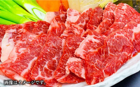 GI認証 あか牛 焼肉用 切り落とし 計約600g あか牛焼肉用[AYBC002]