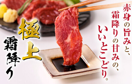 【全12回定期便】霜降り馬刺し 計約500g 馬刺し[AYBP024]