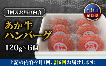 【全6回定期便】あか牛 100％ハンバーグ 約120g×6個 ハンバーグ[AYCQ084]