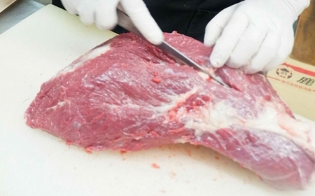 【全12回定期便】熊本肥育 馬刺し 赤身 約600g 馬刺し[AYDM012]