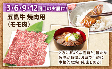 【12回定期便】食卓応援！お届け内容が毎月変わる五島牛定期便 五島市/ごとう農業協同組合[PAF107]