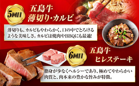 【12回定期便】大満足！五島牛 ファミリー特撰コース 五島市/五島市ふるさと納税[PZX030]