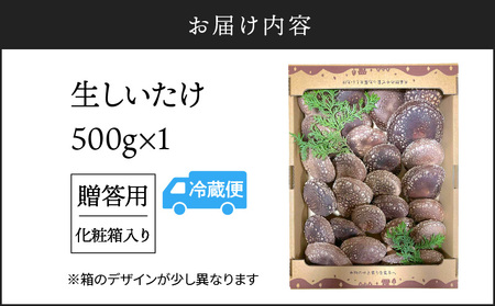 鹿児島 原木 生 しいたけ 約 500g K205-001
