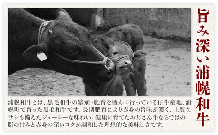 北海道産 黒毛和牛 うらほろ完熟ビーフ 切り落とし 450g 熟成 牛肉 浦幌