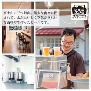 クラフトビール IPA 6本 セット / 瓶ビール ビール 地ビール エール 詰め合わせ 飲み比べ 家飲み おすすめ 人気 天然水 ギフト 贈り物 父の日 お歳暮 送料無料【n0658-06_tpm】