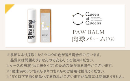 PAW BALM 肉球バーム 1個 上田商店[AOAT006] 肉球バーム