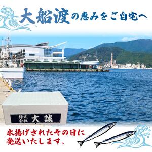 【予約】 訳あり ＼ さんま ／ 約2kg 冷蔵