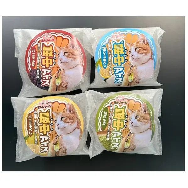 さんじゅーろー 最中アイス 詰め合わせ セット（6個入り） 
