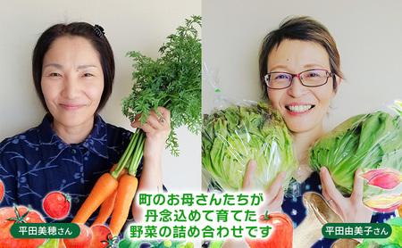おいしかぁ～便 詰め合わせセット（1～2人暮らし向け）コンパクト  野菜 やさい 米 新鮮 新鮮野菜 家庭用 新鮮 福岡県 大刀洗町