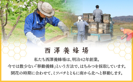 国産百花はちみつ500g×2本 はちみつ 蜂蜜 国産 百花はちみつ 西澤養蜂場