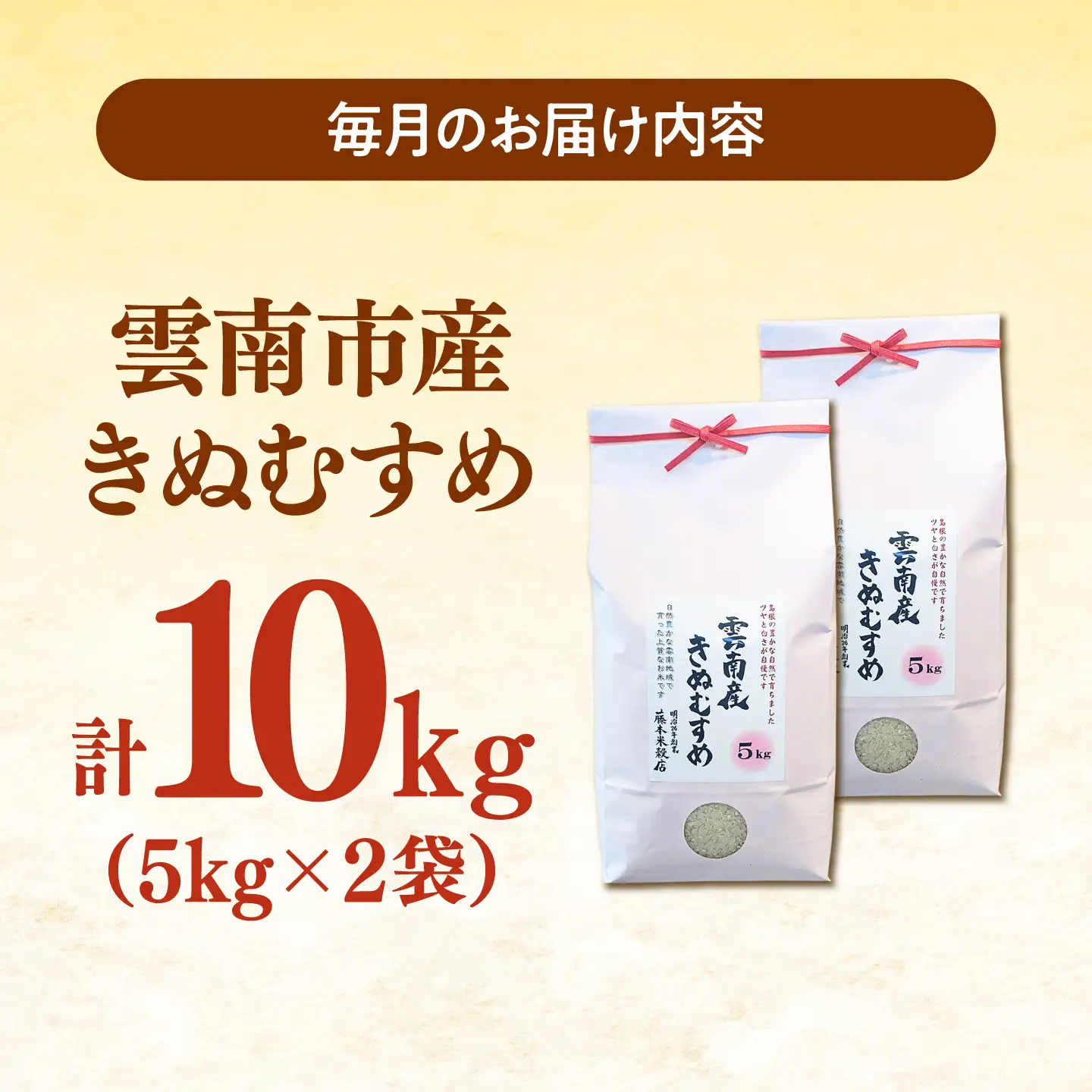 【全3回定期便】雲南市産きぬむすめ 10kg（5kg×2袋）[AIDB103] きぬむすめ