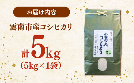 【令和7年産】雲南市産米 コシヒカリ 白米 5kg（5kg×1袋）精米 [AIDB105] 