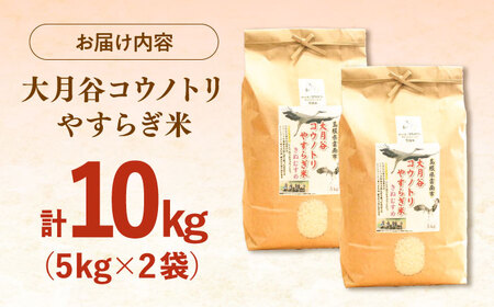 お米大月谷コウノトリやすらぎ米 10kg（5kg×2袋）[AIDB136]