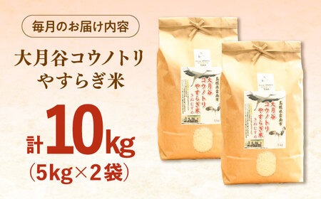 お米【全3回定期便】大月谷コウノトリやすらぎ米 10kg（5kg×2袋）[AIDB139]