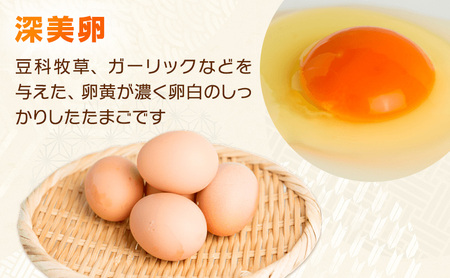 【品種を選べる】かわなべ鶏卵農場のこだわりのたまご30個/こだわり 国産 青梅市産 鶏 鳥 卵 たまご タマゴ 玉子 朝食 卵かけご飯 ＴＫＧ ゆでたまご 赤玉 卵黄 卵白 健康 青梅市 さくらたまご