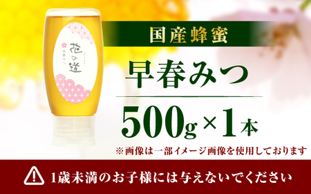 早春みつ 1本（500g） / はちみつ スピード発送[AFAI044]