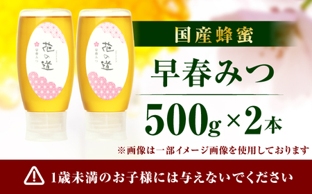 早春みつ 2本（500g×2） / はちみつ スピード発送[AFAI046]