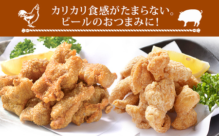 博多 カリカリ鶏皮 揚げホルモン 合計20袋 おつまみ 鶏皮 とりかわ とり皮 国産鶏 国産豚 唐揚げ ホルモン 福岡県 福岡 九州 グルメ お取り寄せ