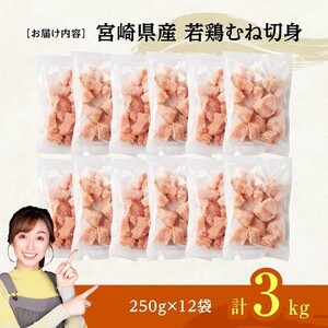 ※令和8年6月発送※宮崎県産若鶏　むね切身IQF3kg（250g×12） 【 宮崎県産 真空パック 国産 九州産 鶏肉 若鶏 肉 とり むね ムネ肉 宮崎県 川南町 送料無料 】
