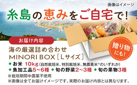 【お中元対象】糸島産 魚 米 野菜 果物 厳選詰め合わせ MINORI BOX Lサイズ 糸島市 / emma.Inc / 米 魚 野菜 果物 詰め合わせ[AOP027]