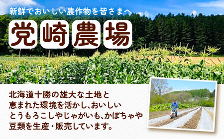 【先行予約】北海道 朝もぎとうもろこし 10本【8月上旬以降発送】《足寄町》とうもろこし [BEAA003]