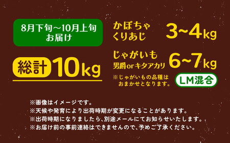 【先行予約】北海道産 じゃがいも＆かぼちゃ 計10kg [BEAA009]