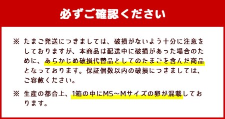 【定期便】久住高原 平飼い たまご 箱たまご 10kg×6ヶ月 160~180個入
