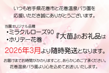 花巻温泉バラ園 オリジナル品種「花巻おとめ80」【2281】