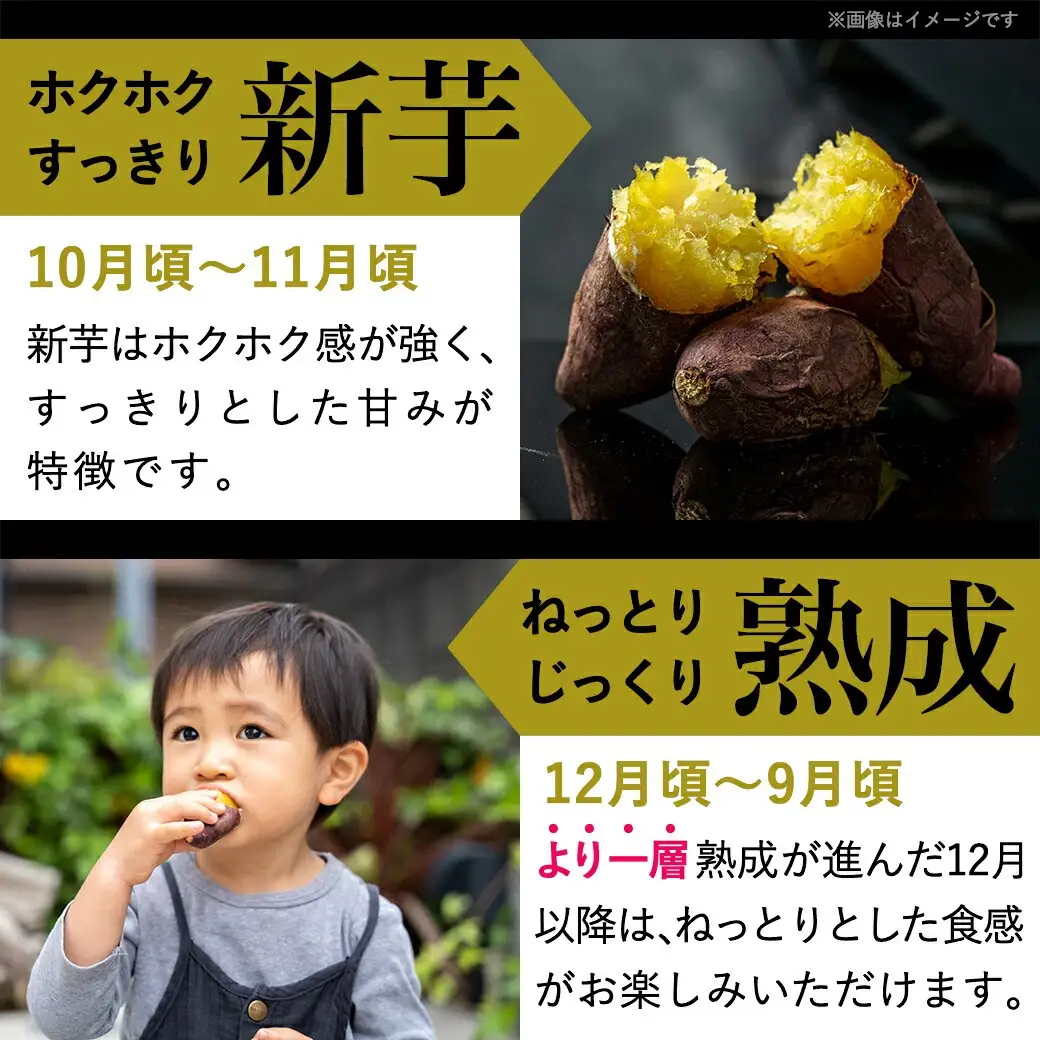 島津甘藷　熟成紅はるか 2kg(M～S)〔LB-A7-001-2kg〕_(都城市) さつまいも 幻のサツマイモ 幻の品種 紅はるか 2kg M～S べにはるか 生芋 ベジエイト 熟成 芋 定番 焼き芋 アウトドア